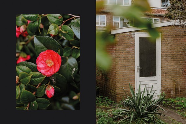 Medium property photo - Catharina van Renneslaan 16, 3533 SC Utrecht