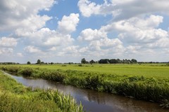 Verkocht: Kruiskruidlaan 50, 3742 EN Baarn
