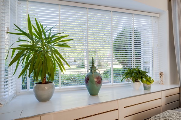 Medium property photo - Molengraaffplantsoen 79, 3571 ZZ Utrecht