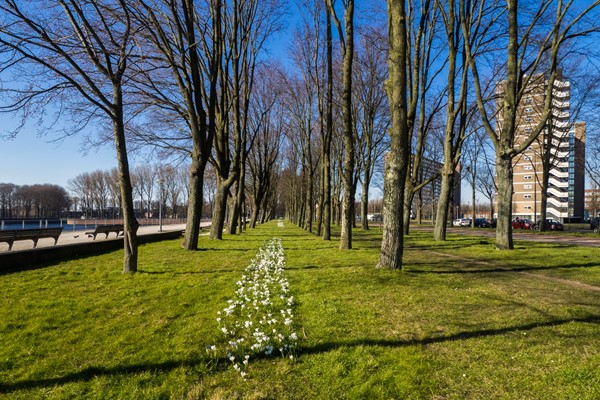 Medium property photo - Burgemeester Van De Pollstraat 48C, 1064 PC Amsterdam