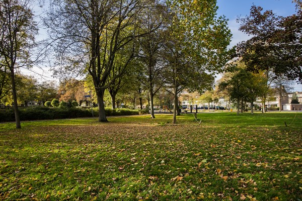 Medium property photo - Kouwerplantsoen 82, 3571 LX Utrecht