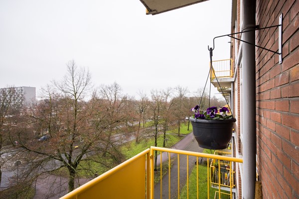 Medium property photo - Moezeldreef 139, 3561 GA Utrecht