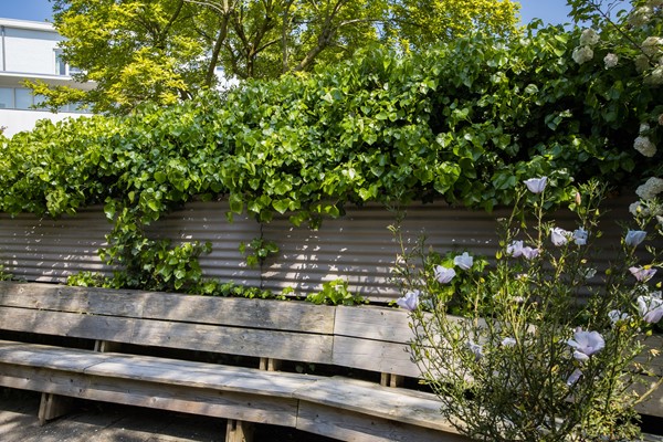 Medium property photo - Willem van Noortplein 16, 3514 GK Utrecht