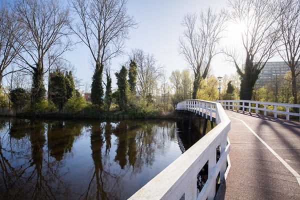 Medium property photo - Albert Huismanpad 198, 1502 EK Zaandam