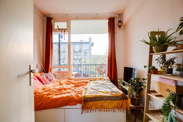 Medium property photo - Tolsteegplantsoen 45-1, 3523 AN Utrecht