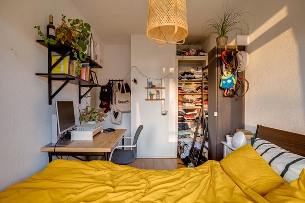 Medium property photo - Tolsteegplantsoen 45-1, 3523 AN Utrecht