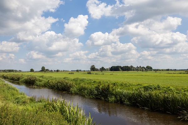 Medium property photo - Kruiskruidlaan 50, 3742 EN Baarn