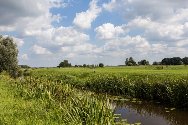 Medium property photo - Kruiskruidlaan 50, 3742 EN Baarn