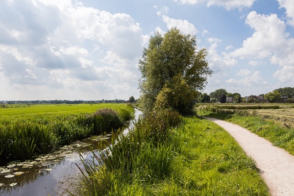 Medium property photo - Kruiskruidlaan 50, 3742 EN Baarn