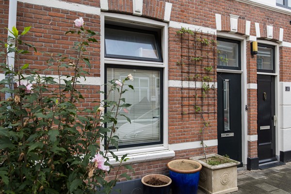 Medium property photo - Riouwstraat 44, 3531 CZ Utrecht