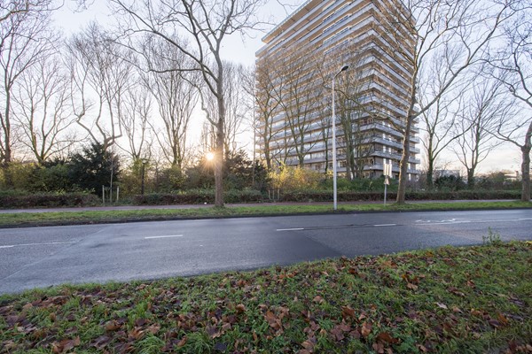 Medium property photo - Livingstonelaan 1248, 3526 JV Utrecht