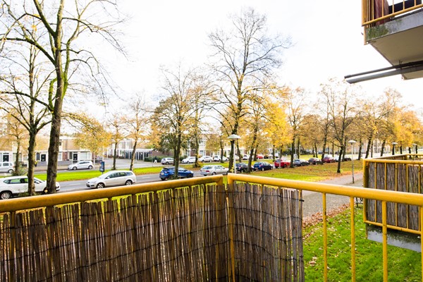 Medium property photo - Moezeldreef 229, 3561 GC Utrecht