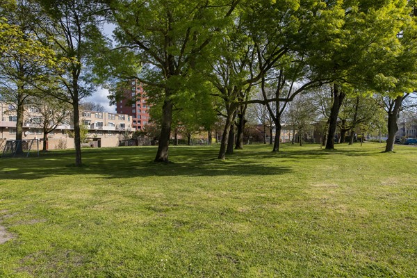 Medium property photo - Milosdreef 63, 3562 VG Utrecht