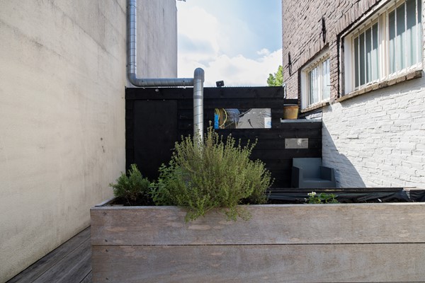 Medium property photo - Wolvenstraat 58, 3512 CH Utrecht