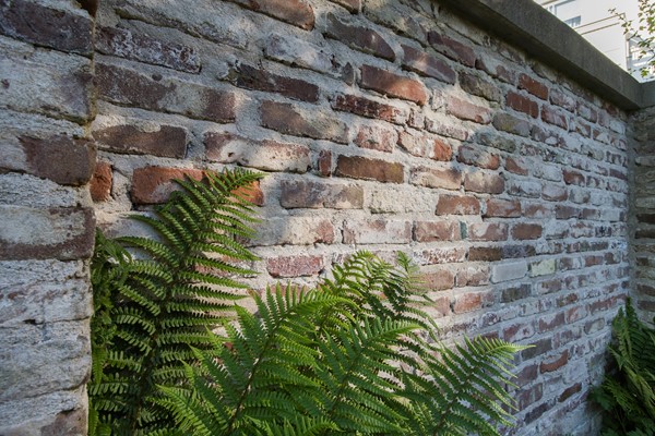 Medium property photo - Maliesingel 57, 3581 BR Utrecht