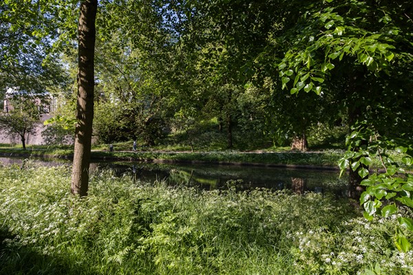 Medium property photo - Maliesingel 57, 3581 BR Utrecht