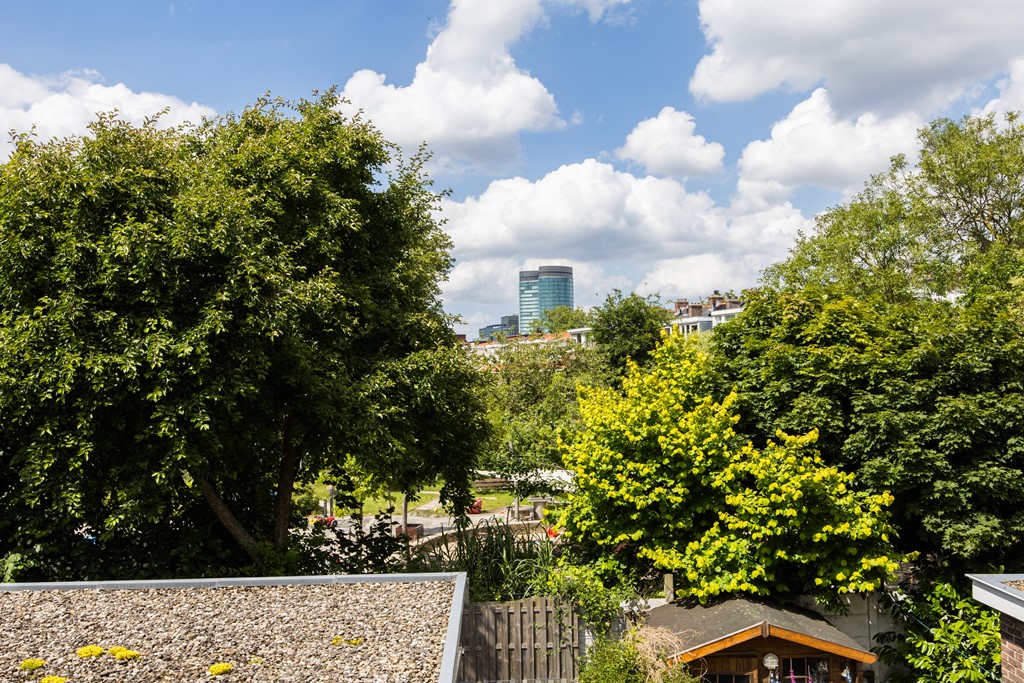 Balijelaan, Utrecht foto 3