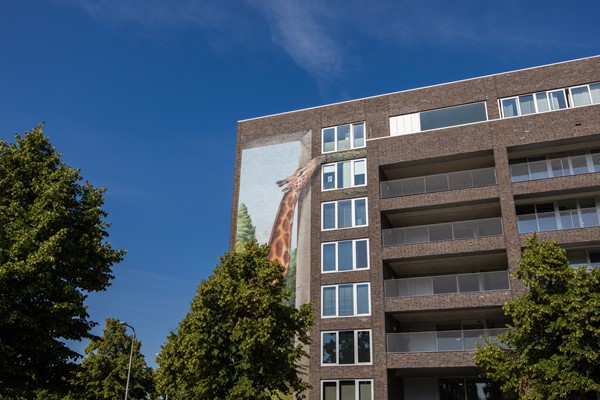 Medium property photo - Briljantlaan 72, 3523 CG Utrecht