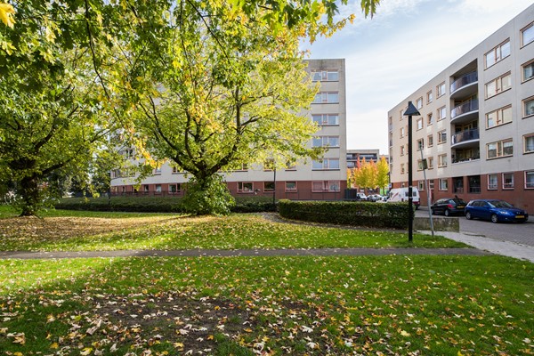 Medium property photo - Plantage 112, 3551 DK Utrecht