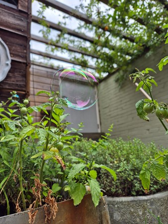 Medium property photo - Galjoenstraat 87, 3534 PE Utrecht