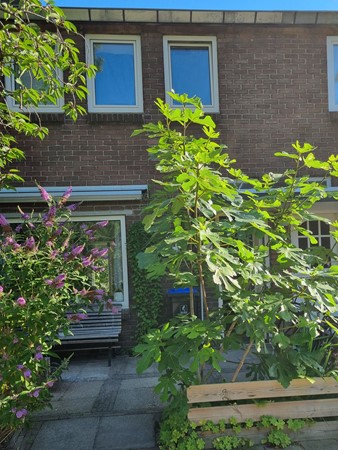 Medium property photo - Galjoenstraat 87, 3534 PE Utrecht