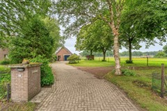 Foto-17.jpg