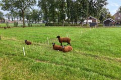Te koop: Horstra's wijk 9, 7782RA De Krim