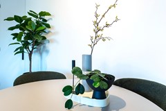 For rent: Dorpsstraat, 5051 CL Goirle