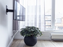 Rented: Lieve-Vrouweplein 11A, 5038TS Tilburg