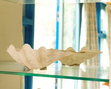 New for rent: Sint Oloflaan 7, 5037 EP Tilburg