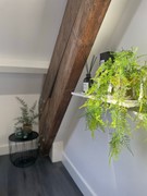 Price reduced: Ordonnansenstraat 20, 5017 ES Tilburg