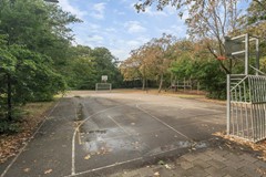 J2.jpg