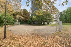 J4.jpg