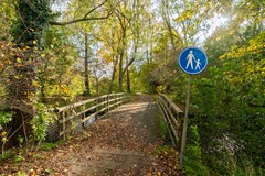 Apollolaan 620_30.jpg