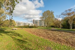 Apollolaan 620_40.jpg