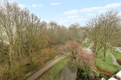 Koraalzwam187Alphen-23.jpg