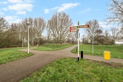 Koraalzwam187Alphen-37.jpg