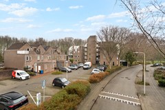 Koraalzwam187Alphen-35.jpg