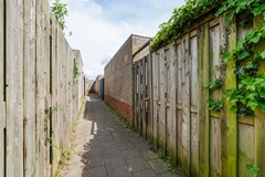 DSC09181.jpg