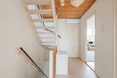 DSC07432.jpg