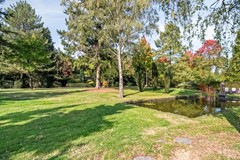 plantsoen voor de deur.jpg