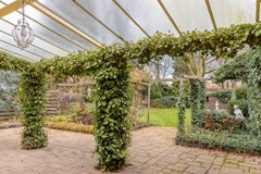 tuin zicht vanaf terras.jpg