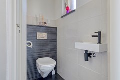 toilet beg gr.jpg
