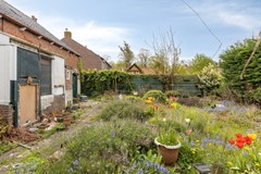 Noordstraat164454APBorssele-43.jpg