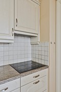 Blikhoek114453bhsHeerenhoekNL-17.jpg