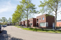 Blikhoek114453bhsHeerenhoekNL-50.jpg