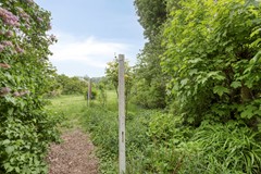 Langeviele524437acEllewoutsdijk-38.jpg