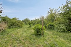 Langeviele524437acEllewoutsdijk-39.jpg