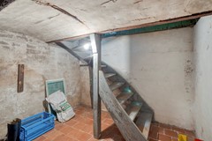 Langeviele524437acEllewoutsdijk-49.jpg