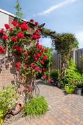 Eendvogelstraat484451dpHeinkenszand-44.jpg